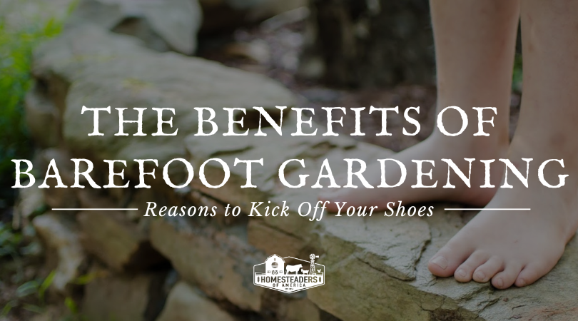 The Benefits of Barefoot Gardening Featured Image - Homesteaders of America