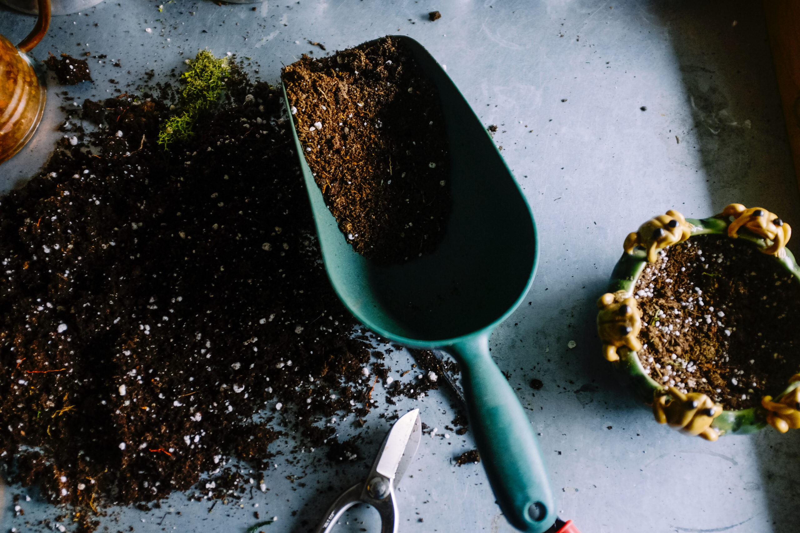Backyard Composting: From Start to Finish