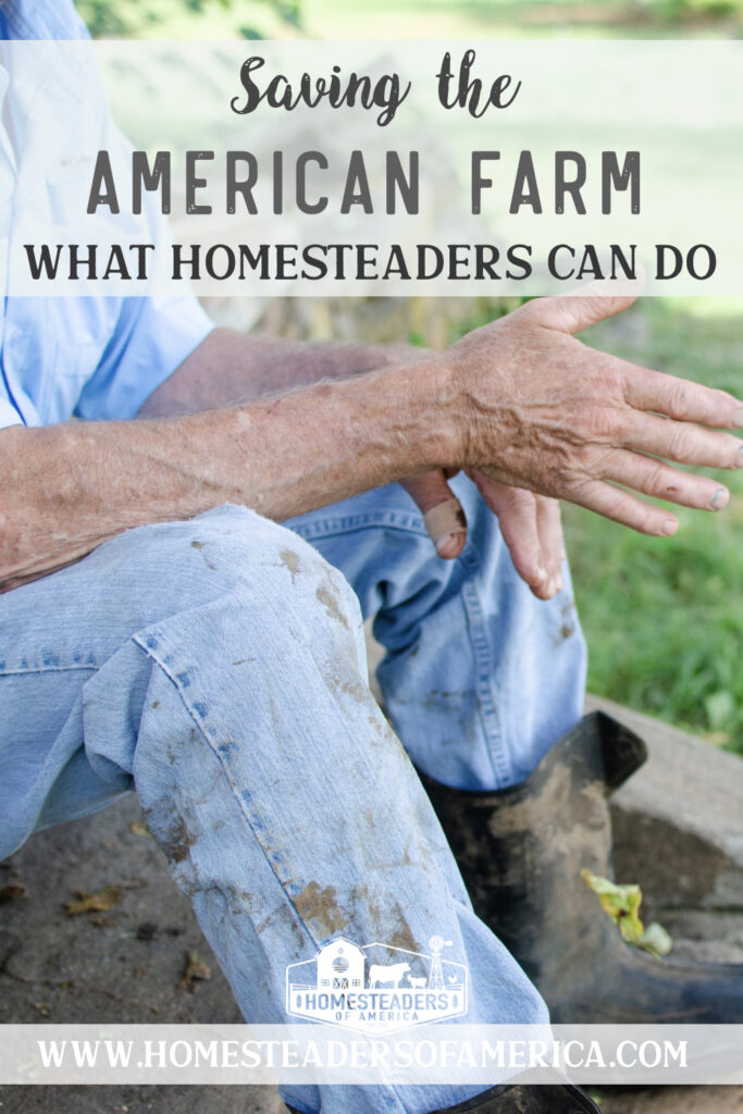 How Homesteaders Can Save the American Farm