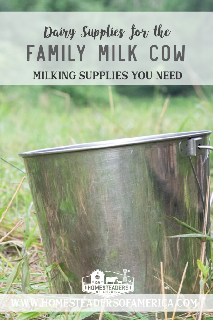 So you’re thinking about bringing home a family milk cow? Check out this list of dairy supplies so you have the milking equipment you need to get started! #homestead #homesteading #familymilkcow #rawmilk #homedairy #dairy #milkcow #cow