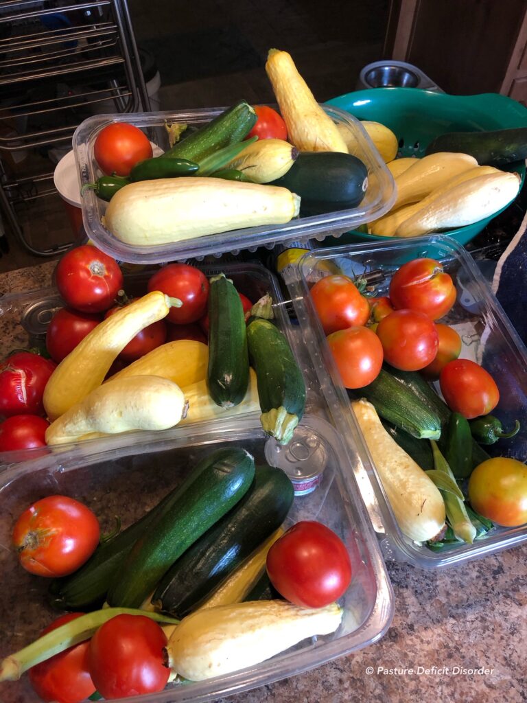 Harvest from our small garden