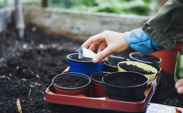 Sowing Seeds for Small Garden