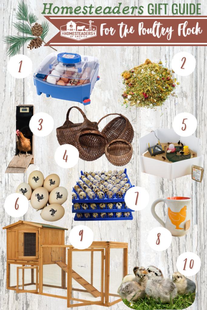 Gifts for Homesteaders (Chickens & Poultry)
