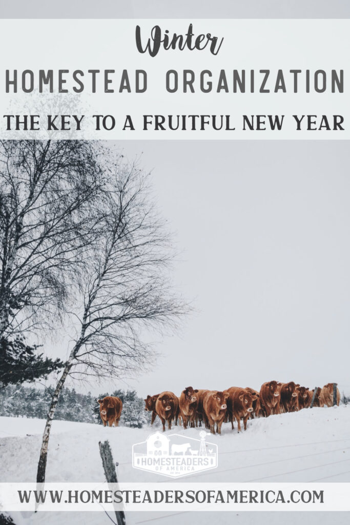 Winter Homestead Organization Tips: The Key to a Fruitful New Year