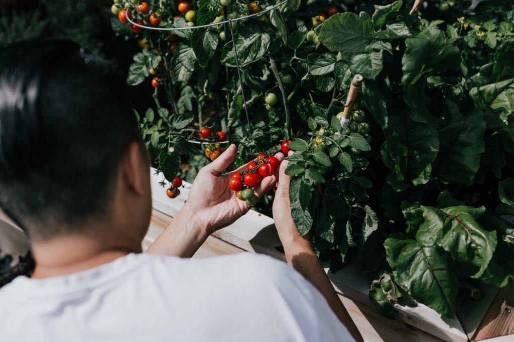 The One Thing Homesteaders Can Agree On