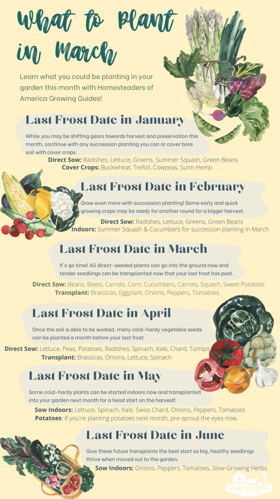 What to Plant in Your Vegetable Garden in March