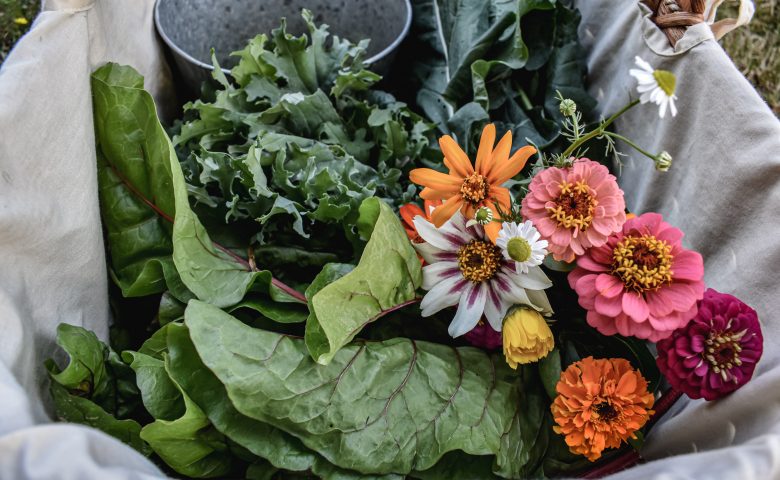 What to Plant in May: Vegetable Growing Guide