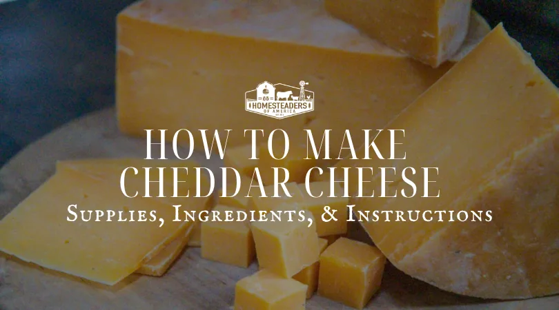 Making That Cheddar How to Make Cheddar Cheese - Homesteaders of America