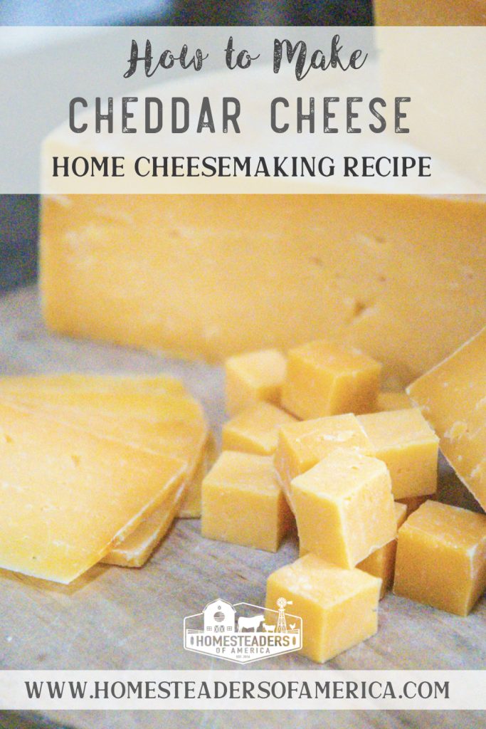 Home Cheesemaking: Learn How to Make Cheddar Cheese