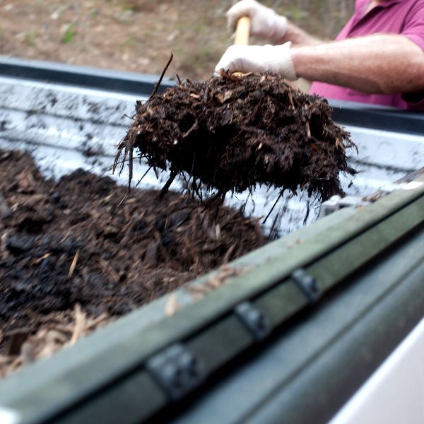 Organic mulch being shoveled out of a truck bed