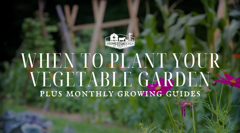 When To Plant Your Vegetable Garden - Homesteaders of America